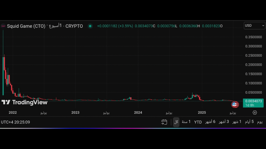 مخاطر التداول في العملات الرقمية من المشاريع الوهمية