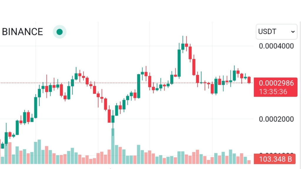 مستقبل عملة 1000SATS مستقبل عملة 1000SATS