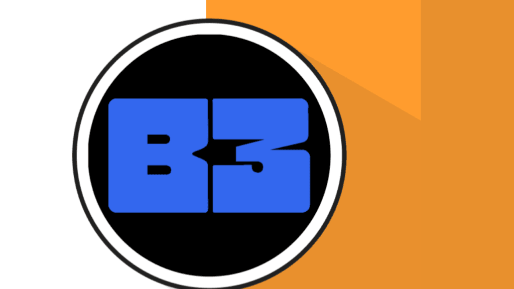 B3