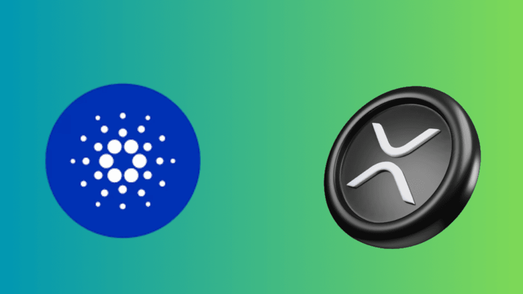 XRP أصل