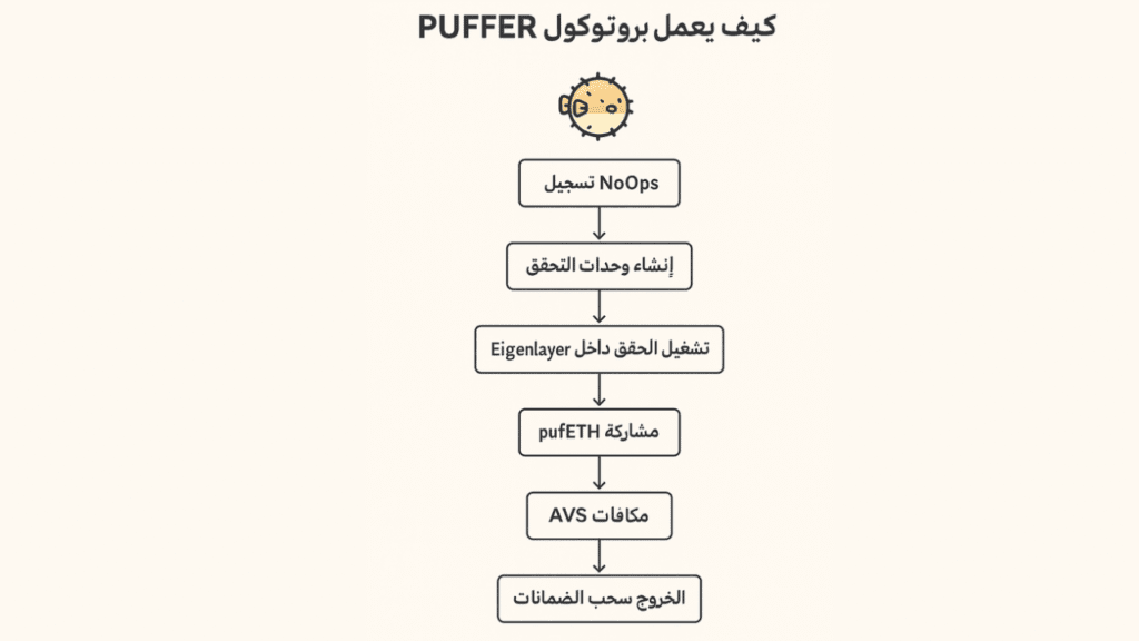 كيف يعمل مشروع عملة PUFFER