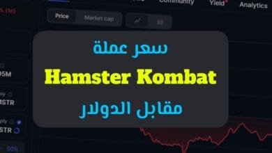 كيف يتغير سعر عملة hamster kombat مقابل الدولار؟ عوامل وتأثيرات