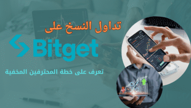 خطة المحترفين في تداول النسخ