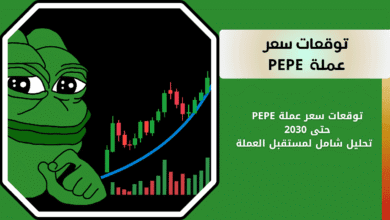 مستقبل عملة PEPE