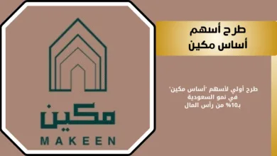 أسهم أساس مكين