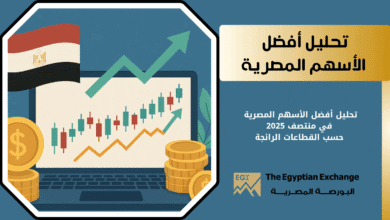 أفضل الأسهم المصرية حسب القطاعات الرائجة