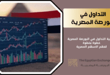 شرح البورصة المصرية للأسهم