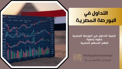 شرح البورصة المصرية للأسهم