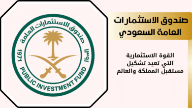 استثمارات صندوق الاستثمار السعودي