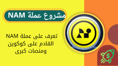 مشروع عملة NAM