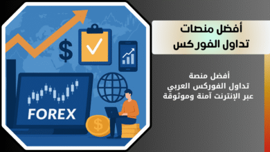 أفضل منصات التداول في الفوركس موثوقه