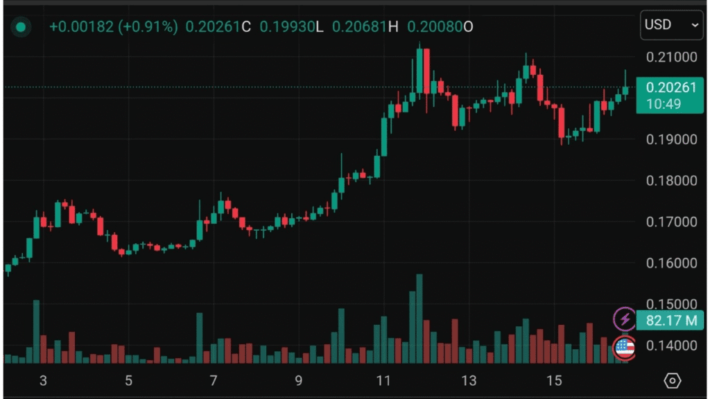سعر عملة Dogecoin على تريندج فيو