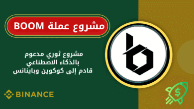 ما هي عملة BOOM