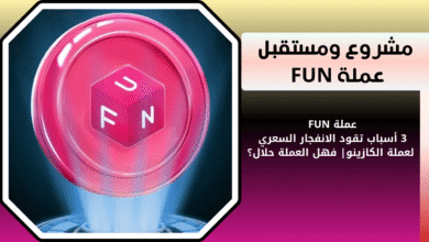 ماهي عملة FUN