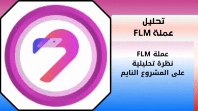 ماهي عملة FLM الرقمية