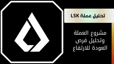 ماهي عملة LSK