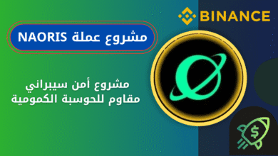 ماهي عملة NAORIS