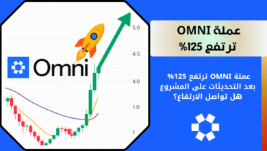 ماهي عملة OMNI ومشروعها