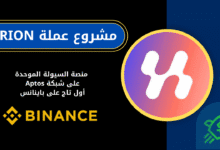 ما هي عملة RION