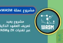 ما هي عملة zkWASM