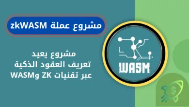 ما هي عملة zkWASM