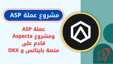 ماهي عملة ASP
