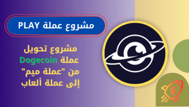 ما هي عملة PLAY