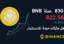 عملة BNB تلامس 830$