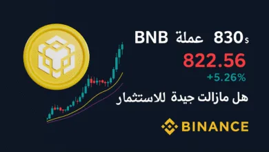 عملة BNB تلامس 830$