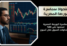 سماسرة البورصة المصرية |تستحوذ على 80%