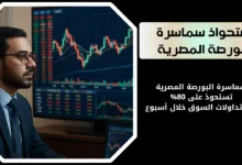 سماسرة البورصة المصرية |تستحوذ على 80%