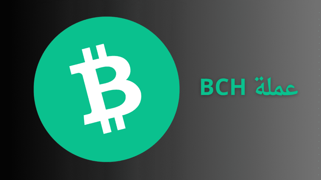 لماذا ظهرت Bitcoin Cash؟ بيتكوين كاش