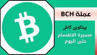 ما هي عملة BCH