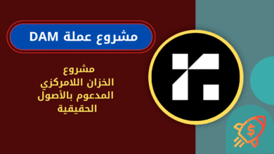 ماهي عملة DAM
