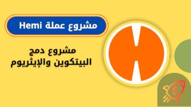 ماهي عملة Hemi