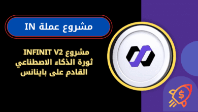 ماهي عملة IN