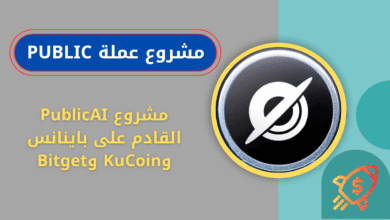 ماهي عملة PUBLIC