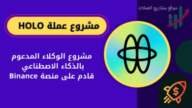 ما هي عملة HOLO