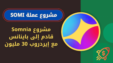 ما هي عملة SOMI