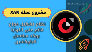 ما هي عملة XAN على منصة باينانس Binance