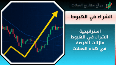 أفضل عملات رقمية للشراء في الهبوط