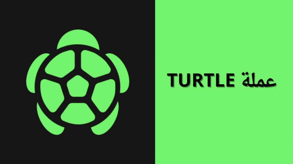 ما هي عملة TURTLE الرقمية؟