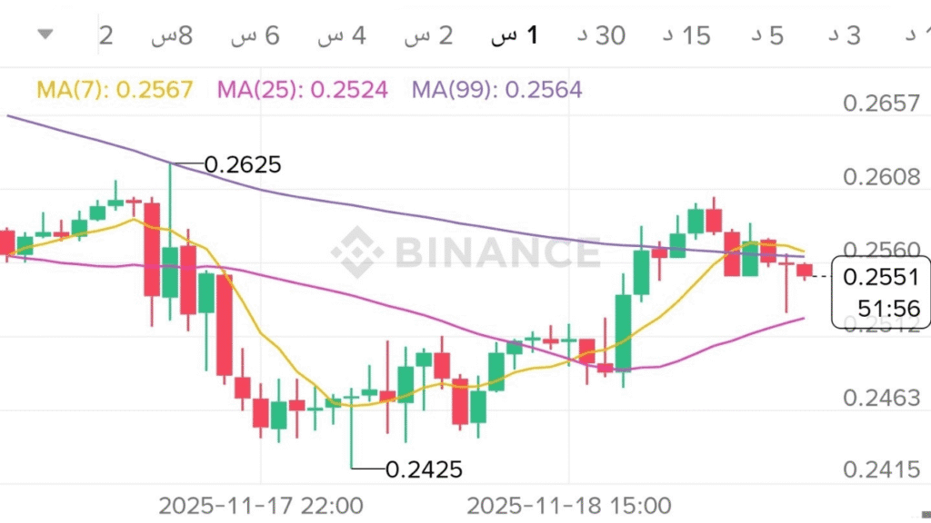 عملة XLM شبكة مالية مفتوحة المصدر