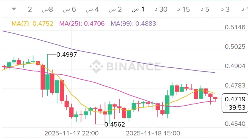 عملات رقمية لها مستقبل عملة ADA بلوكشين العقود الذكية منخفض التكلفة
