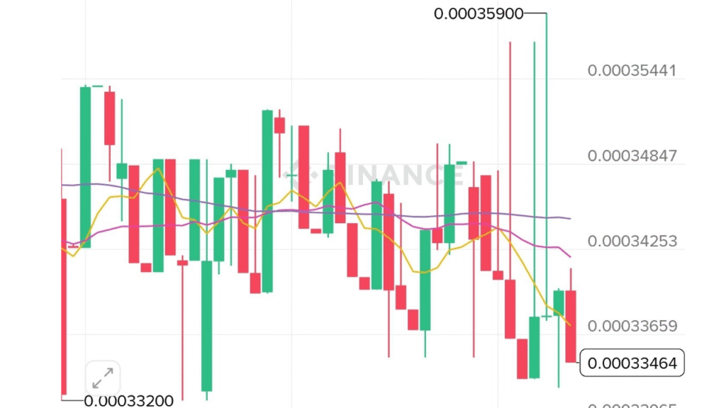 عملة رقمية رخيصة عملة REX 