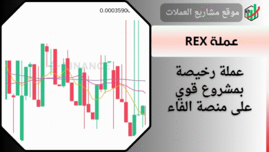عملة رخيصة بمشروع قوي على منصة باينانس