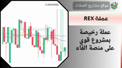 عملة رخيصة بمشروع قوي على منصة باينانس