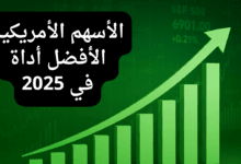 جميع الأسهم الأمريكية الأفضل أداء في 2025