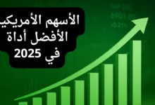 جميع الأسهم الأمريكية الأفضل أداء في 2025