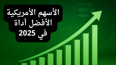 جميع الأسهم الأمريكية الأفضل أداء في 2025